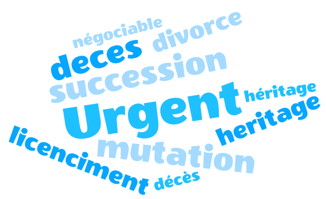 Mot clé annonce urgent immobilier
